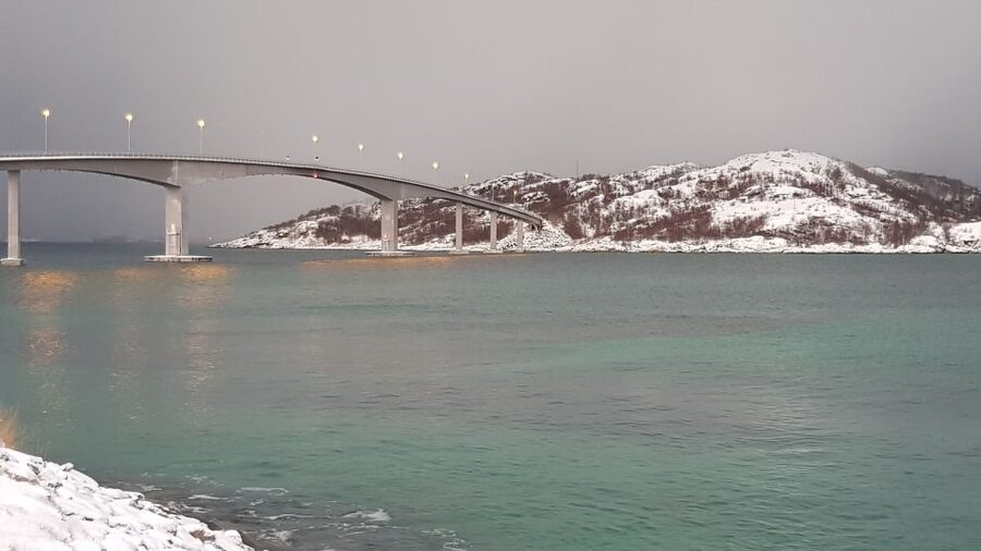 Tromso: All-Inclusive Arctic Fjords and Sommarøy Scenic Tour - Meeting your guide at Prostneset or the cruise terminal