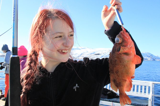 Tromsø: Arctic Fjord Cruise & Fishing Experience - Key points before you book