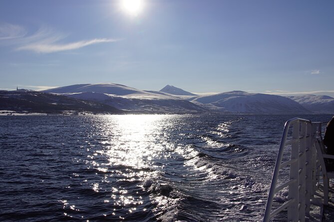 Tromsø: Arctic Fjord Cruise & Fishing Experience - Fish soup, bread, and unlimited hot drinks