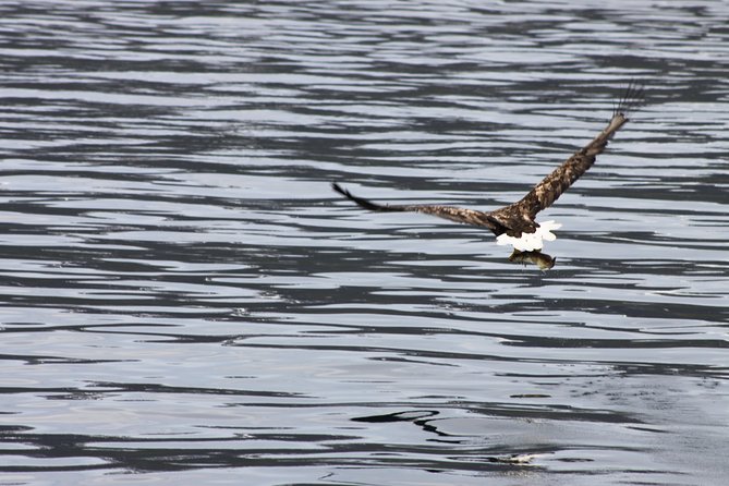 Tromsø: Arctic Fjord Cruise & Fishing Experience - The guides shape the experience