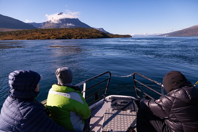 Tromsø: Arctic Fjord Cruise & Fishing Experience - Who should book this cruise?