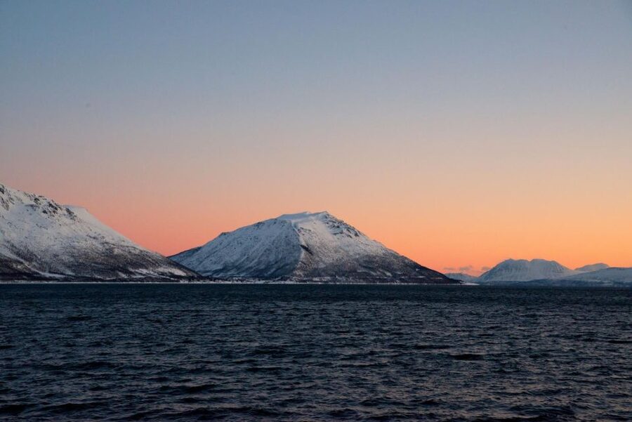 Tromsø: Arctic Fjord Cruise in Polar Landscapes - Key Points Before You Book