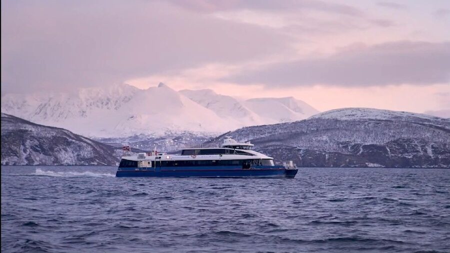 Tromsø: Arctic Fjord Cruise in Polar Landscapes - Wildlife Watching From the Upper Deck