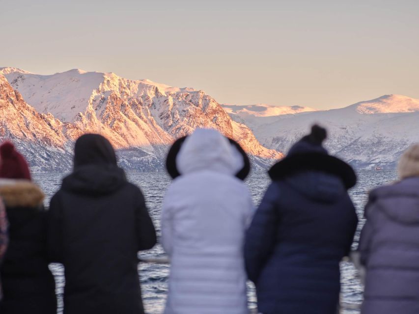 Tromsø: Arctic Fjord Cruise in Polar Landscapes - The Guides, Stories, and Onboard Quiz