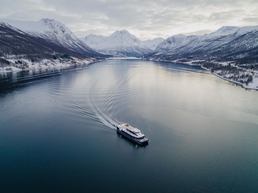Tromsø: Arctic Fjord Cruise in Polar Landscapes - Is $120 Good Value for Three and a Half Hours?