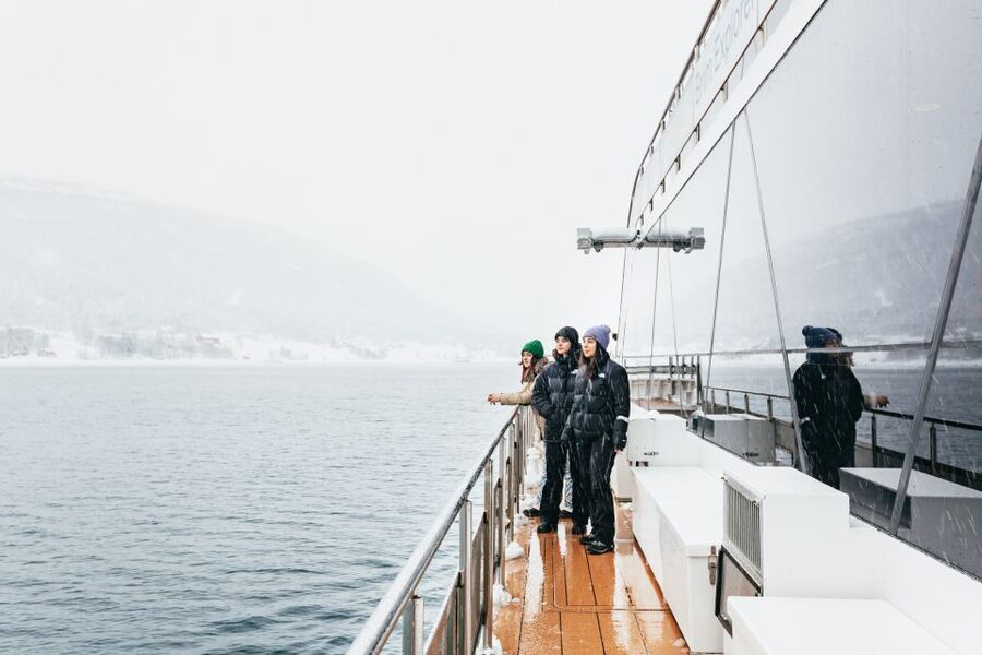Tromsø: Arctic Fjord Cruise With Stop On Land At Fish Racks - Key points at a glance