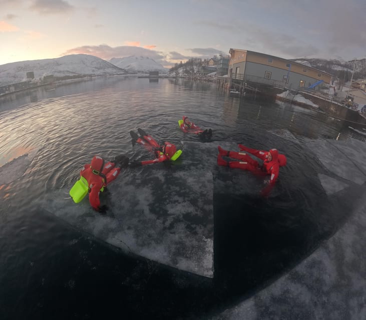 Tromsø: Arctic Fjord Floating in Survival Suit - Five things to know before you float