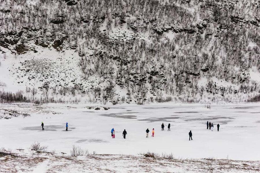 Tromsø: Arctic Landscape and Fjord Tour with Snacks - What this Tromsø fjord tour really offers