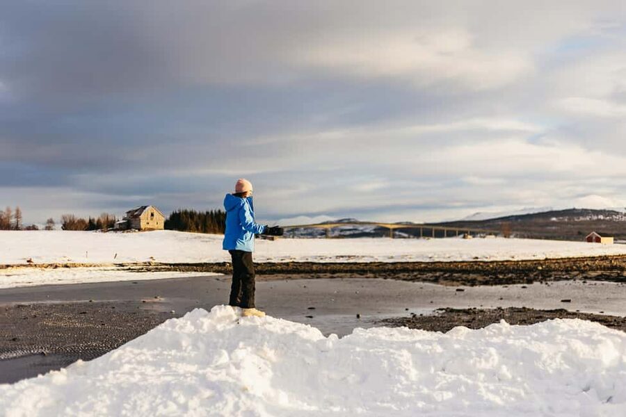 Tromsø: Arctic Landscape and Fjord Tour with Snacks - Fjordvegen and the road to Grøtfjorden