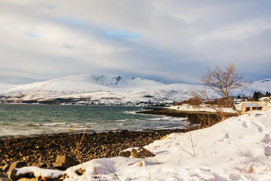 Tromsø: Arctic Landscape and Fjord Tour with Snacks - A proper pause at Grøtfjorden