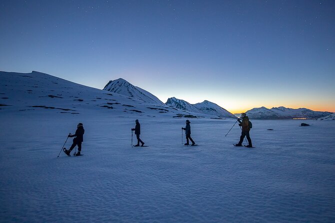 Tromsø: Arctic Landscapes Hiking / Snowshoeing Tour in the wild - Why this Tromsø winter tour is different