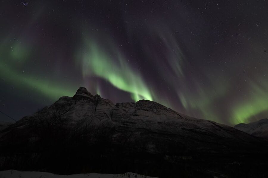 Tromsø: Aurora Borealis, Campfire, Hot Meal, Arctic Tour - Taking photos under the green sky