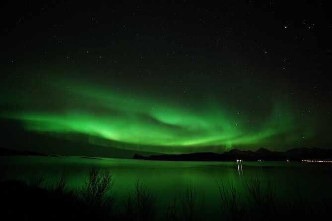 Tromso Aurora Chase by Minibus with Thermal Suit, Snack and Photo - The real chance of seeing the Northern Lights