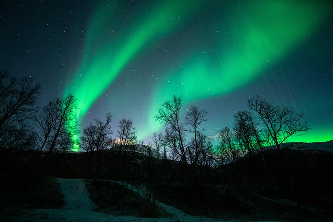 Tromso Aurora Chase by Minibus with Thermal Suit, Snack and Photo - Group size, transport, and late-night returns