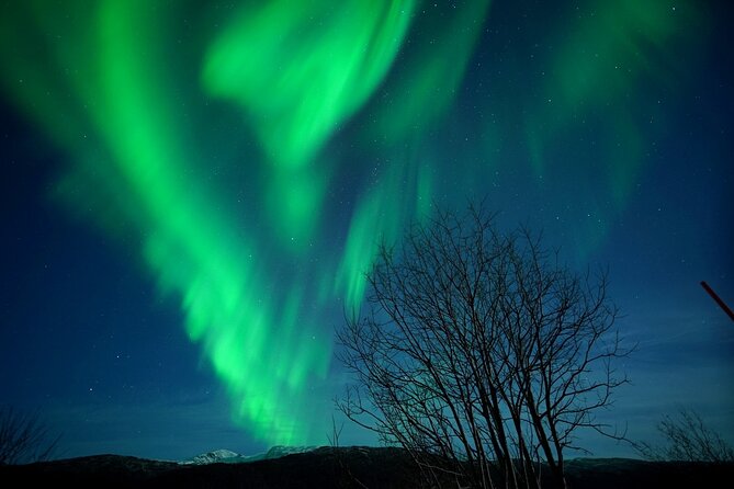 Tromso Aurora Chase by Minibus with Thermal Suit, Snack and Photo - How the route changes with the weather
