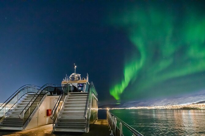 Tromso Aurora Cruise with 3-Course Dinner - Key points to know before booking