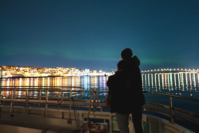Tromso Aurora Cruise with 3-Course Dinner - A smooth electric ride around Tromsøya