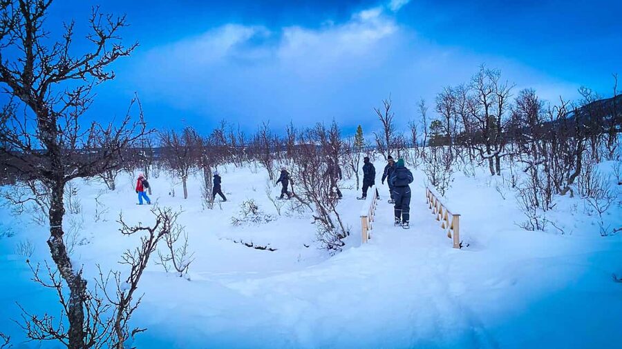 Tromsø: Aurora Crystal Lavvo Overnight Stay with Activities - Food, bathrooms, and the limits of Arctic comfort