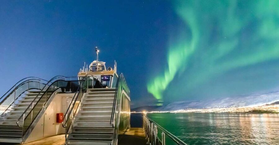 Tromsø: Aurora Dinner Cruise by Hybrid-Electric Catamaran - Dinner in the Dark Arctic Waters