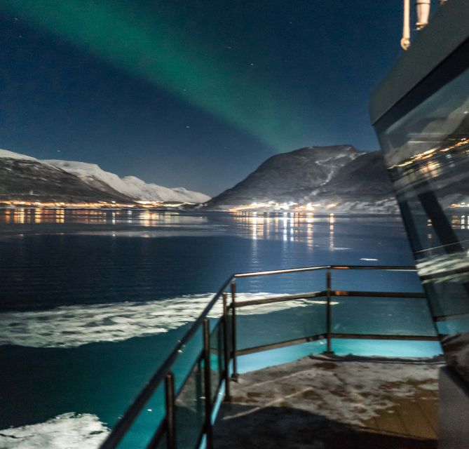Tromsø: Aurora Dinner Cruise by Hybrid-Electric Catamaran - Who Will Enjoy This Cruise Most?