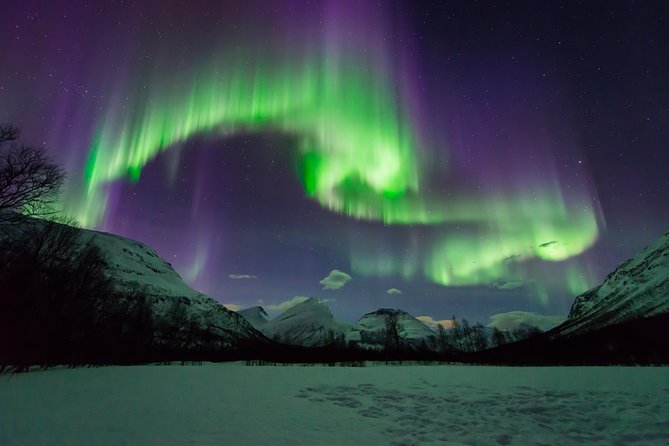 Tromso Aurora Hunt with Bonfire, Soup, Winter Gear & Transfers - Learning the science while you wait