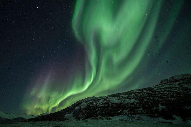 Tromso Aurora Hunt with Bonfire, Soup, Winter Gear & Transfers - Seeing the aurora with your own eyes and through a camera