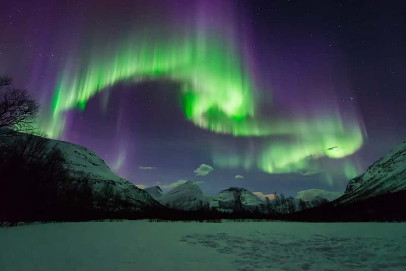 Tromsø: Aurora Hunt with Citizen Science - The minibus ride into darker country