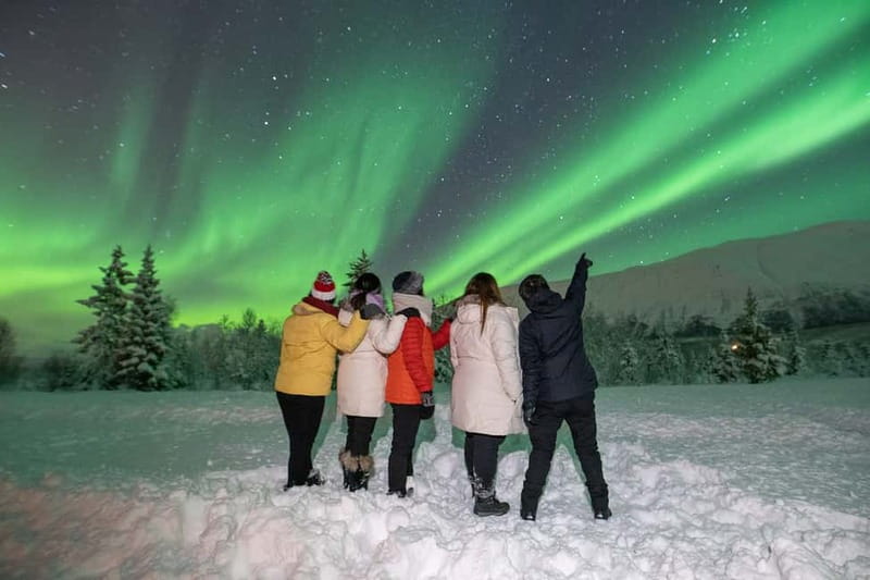 Tromsø: Aurora Safari Chase by big bus with Camp meal - Key things to know before booking