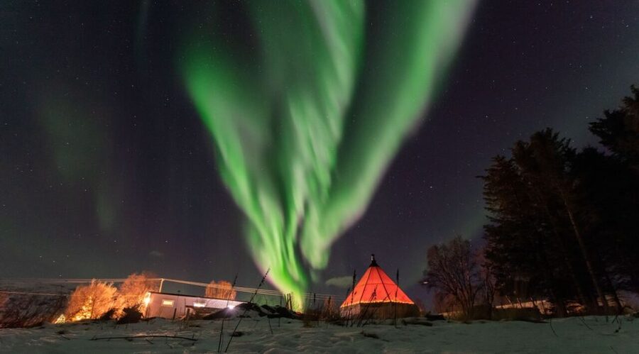 Tromsø: Aurora Safari Chase by big bus with Camp meal - Fish soup, reindeer stew, or a vegetarian meal