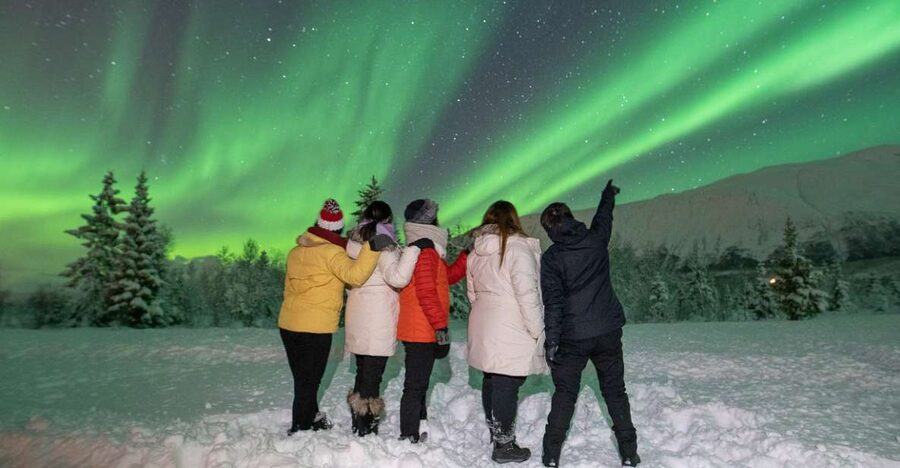 Tromsø: Aurora Safari Chase by big bus with Camp meal - What the $146 price really covers