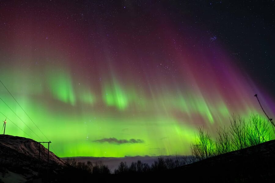 Tromsø: Aurora Tour with Photos, Campfire and Arctic Food - Who should book this Aurora outing?