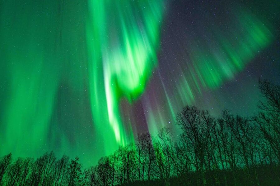 Tromsø: Aurora Tour with Photos, Campfire and Arctic Food - Thermal suits, walking, and winter readiness