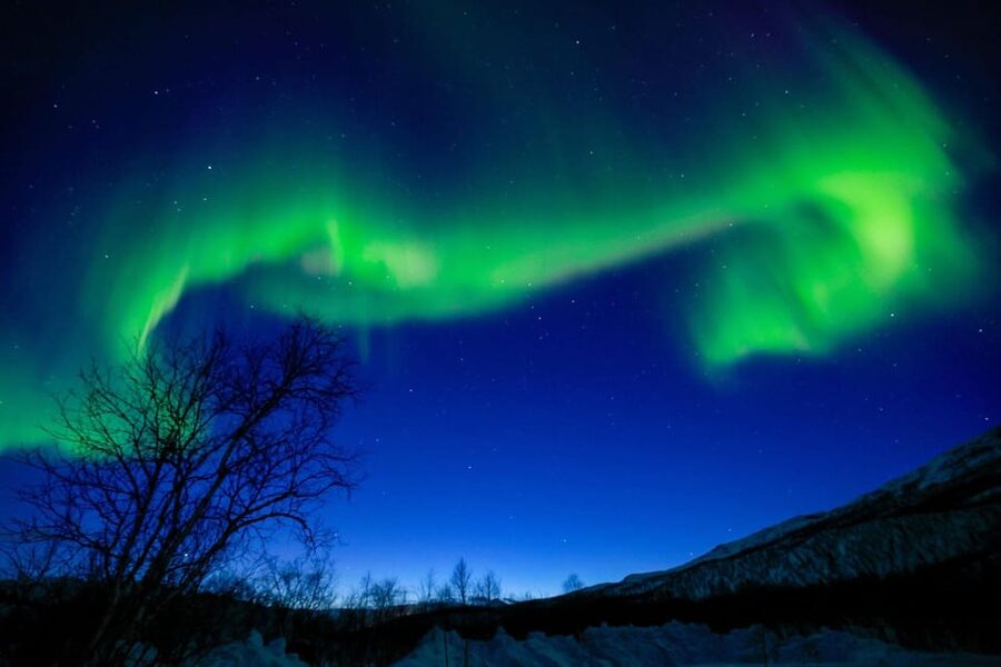 Tromsø Chinese Aurora Tour - Searching several viewing spots