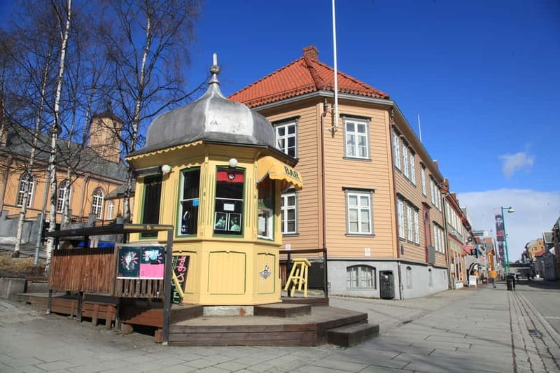 Tromsø: City Walk & Polar Museum (Private or Shared) - The harbor and Tromsø’s Arctic role