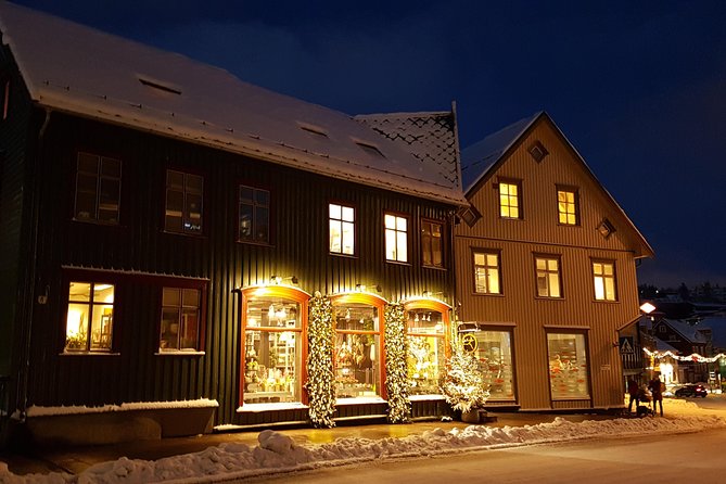Tromsø City Walk - What the two-hour route covers