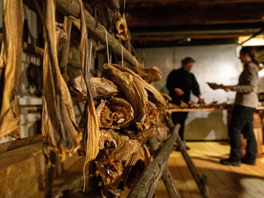 Tromso: Cod-Tasting Tour with Full Steam Museum Entry - Who should book the cod tasting?