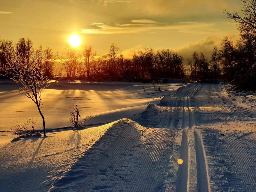 Tromsø: Cross Country Guided Skiing Course - Getting fitted with skis, boots, and poles
