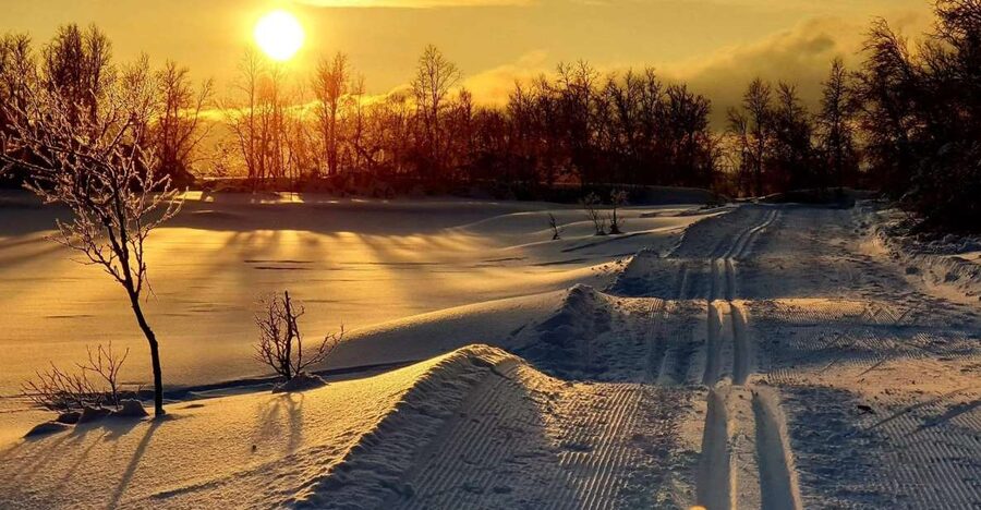 Tromsø: Cross Country Guided Skiing Course - The guide team makes the difference