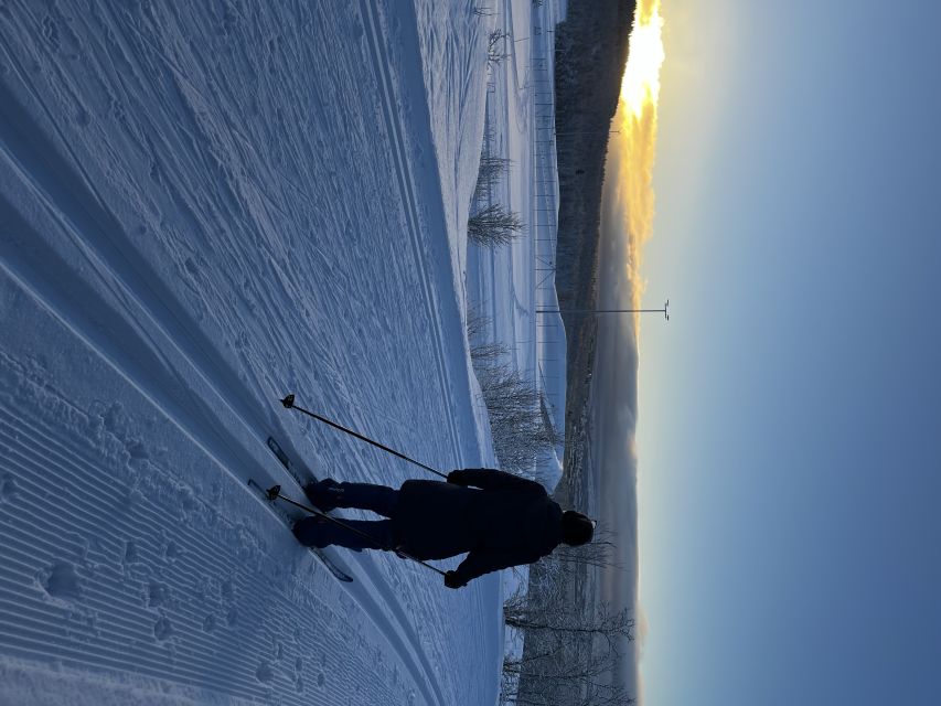 Tromsø: Cross Country Guided Skiing Course - Meeting at Charlottenlund Aktivitetspark
