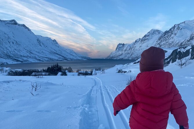 Tromsø Cross-Country Ski Adventure - Group size, pacing, and guide attention