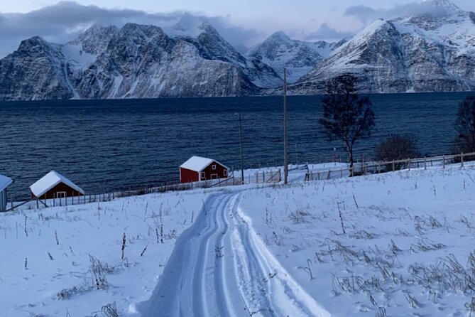 Tromsø Cross-Country Ski Adventure - Is $128.03 a fair price?