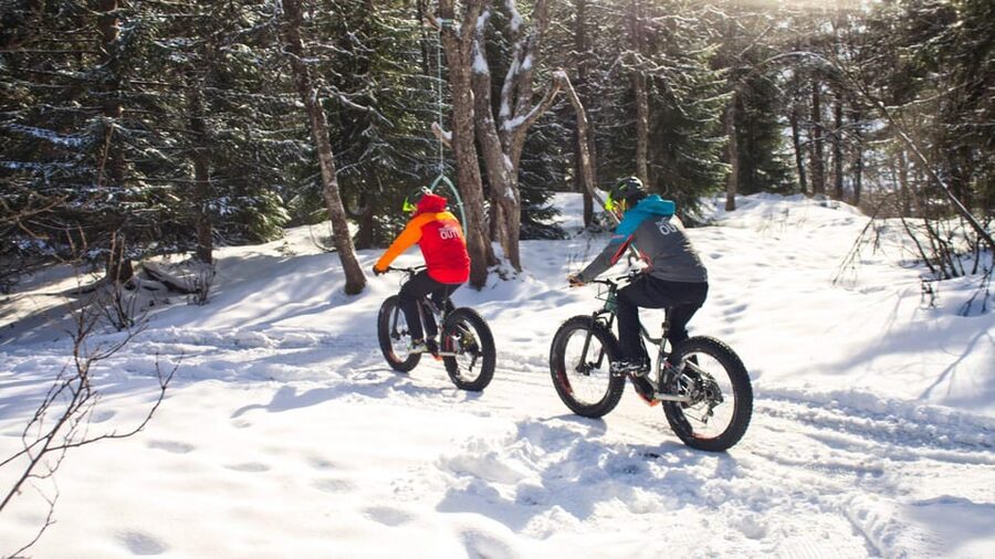 Tromsø: Electric fatbike trip on winter paths - Daylight, headlamps, and winter clothing