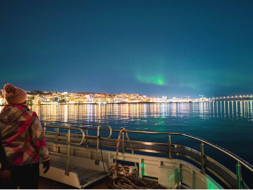 Tromsø: Electric Northern Lights Cruise - Who will enjoy this cruise most?