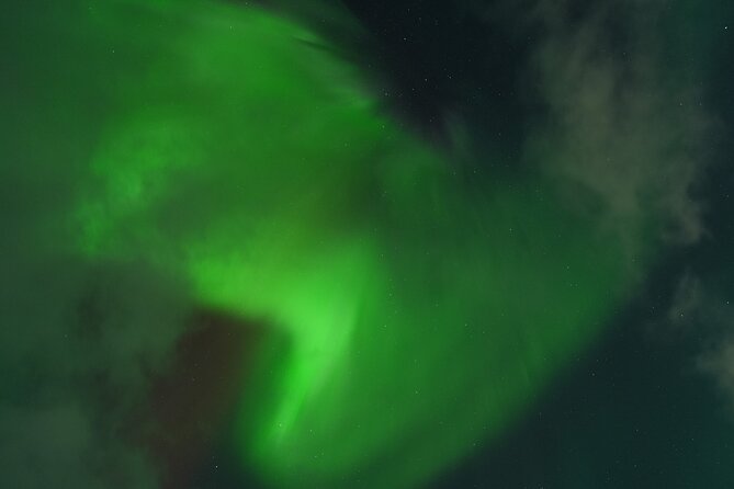 Tromsø: English/Spanish Aurora Pathfinder Tour with Photos - Roberto’s role makes the outing feel personal