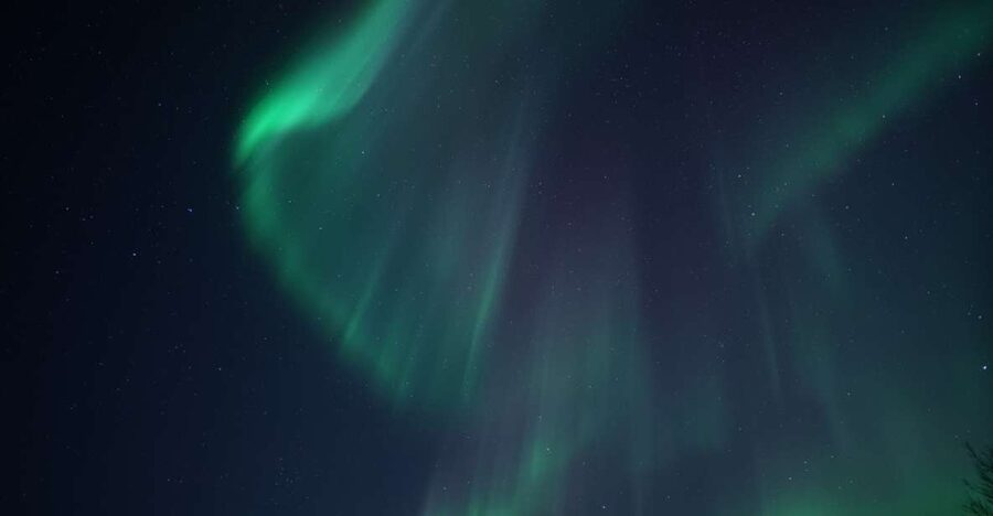Tromsø: Evening Aurora Cruise (dinner optional) - Key points to know before you book