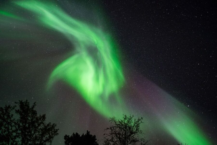 Tromsø: Evening Aurora Cruise (dinner optional) - Meeting at Kilengreensgate 7-11