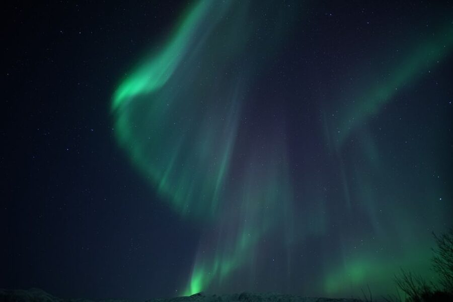 Tromsø: Evening Aurora Cruise (dinner optional) - Value at about $100 per person