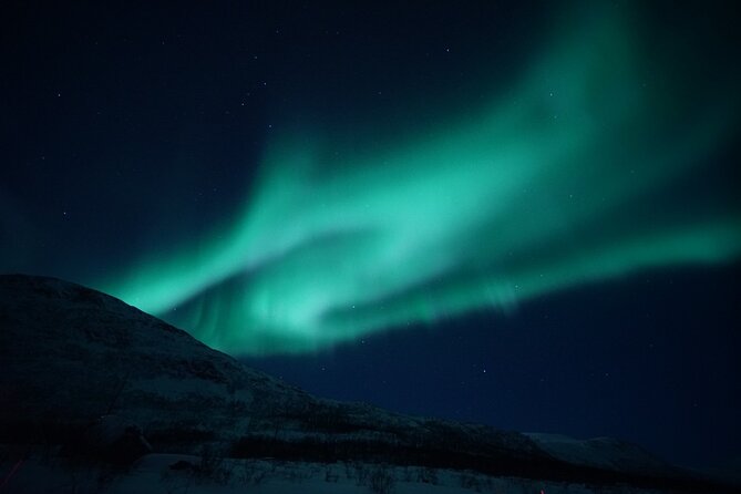Tromsø: Evening Cruise with Northern Lights Opportunity - Key points to know before boarding