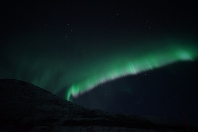 Tromsø: Evening Cruise with Northern Lights Opportunity - Leaving Tromsø at 8:00 pm