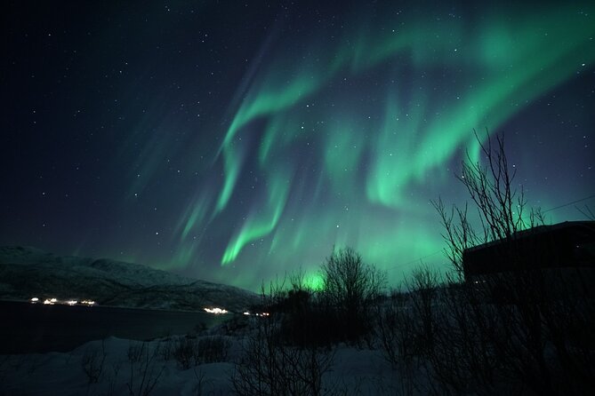 Tromsø: Evening Cruise with Northern Lights Opportunity - How this compares with a Northern Lights bus tour